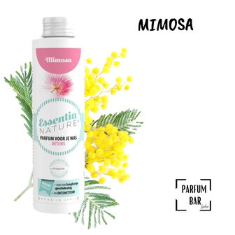Essentia Mimosa Intens 500ml